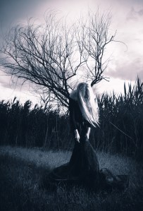 Copyright Valery Sidelnykov