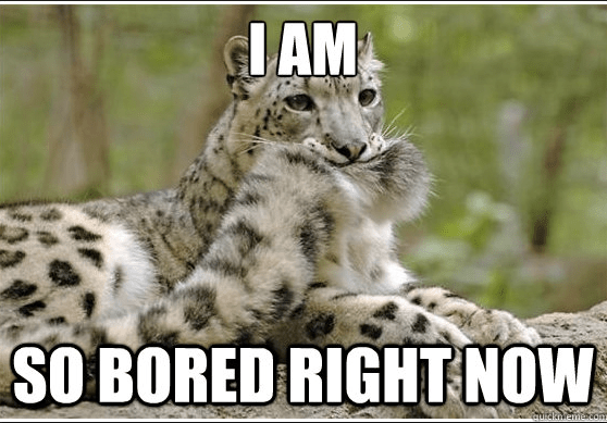 Screen Shot 2016-05-31 at 10.29.01 AM